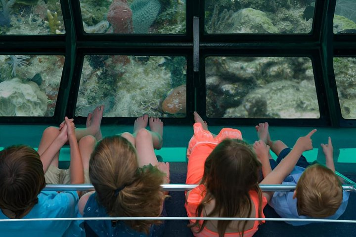 Key West Glass-Bottom Boat Tour with Sunset Option - Photo 1 of 19